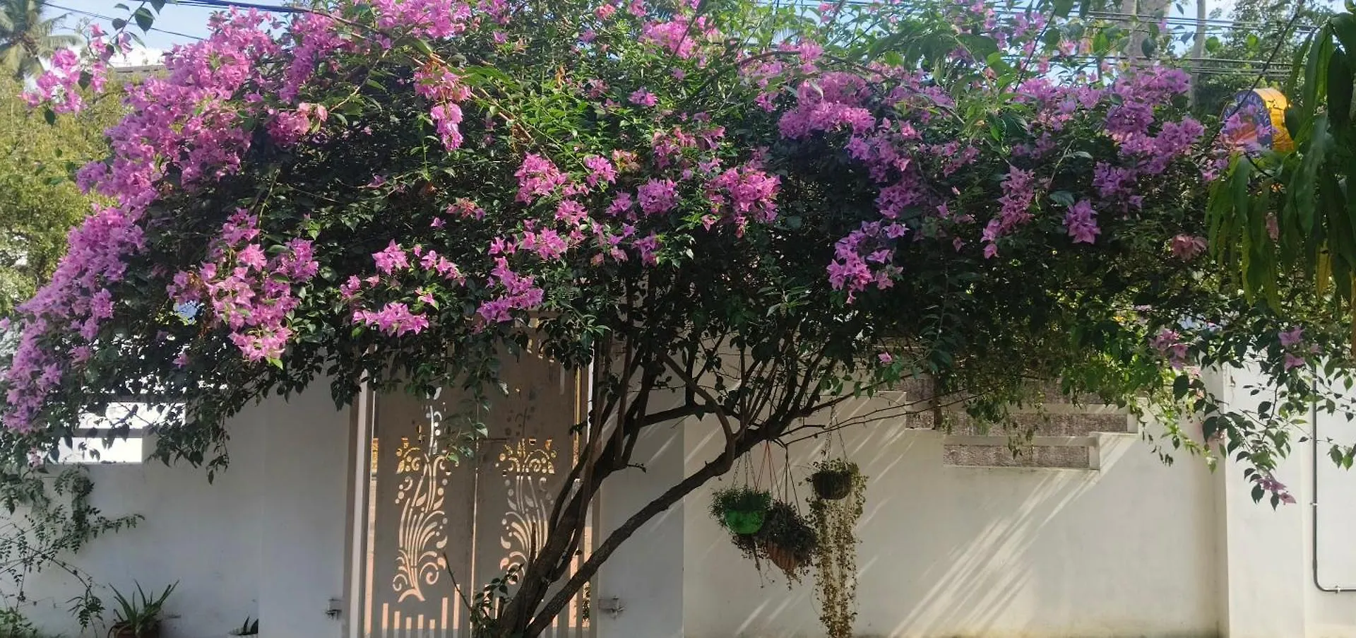 Homestay Elegance Of Black Beach 2 Apartment Varkala